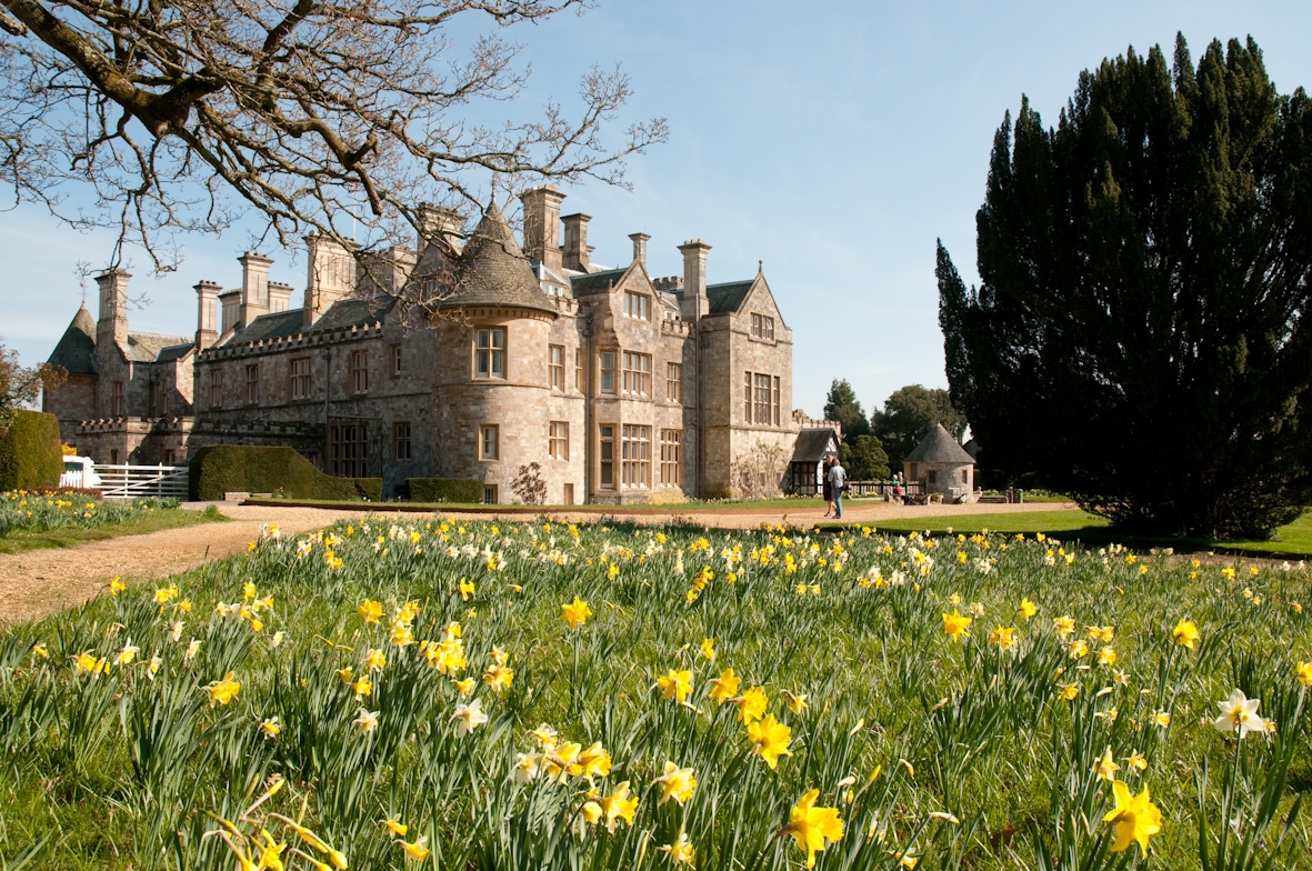 Beaulieu-Palace-House-daffodils