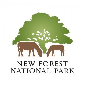 newforestnpa_1347888960_600